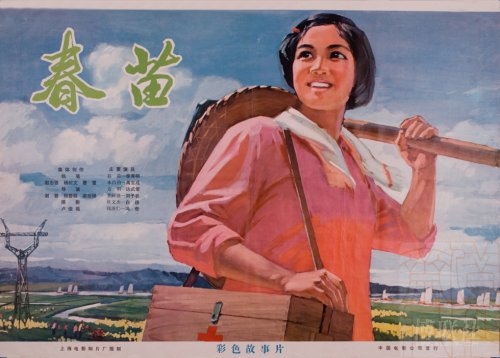 北科罗拉多大学社会学文凭证书
